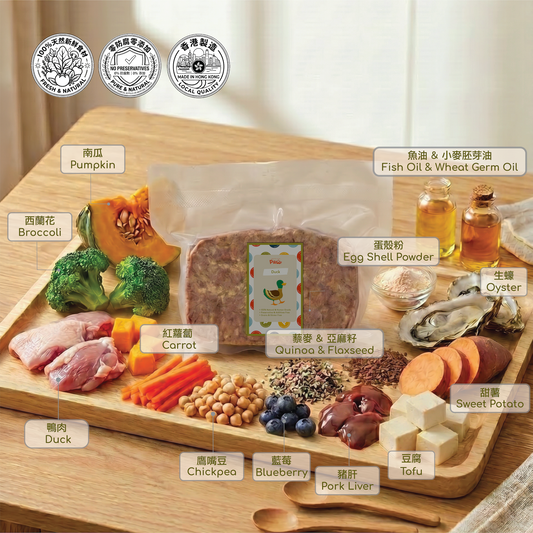 Duck Fresh Food Block