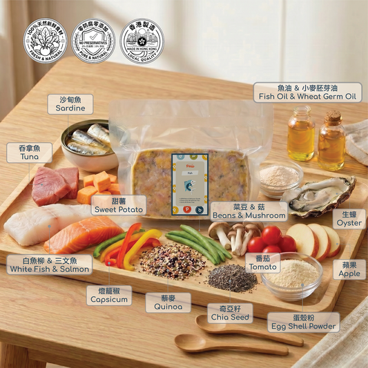 Fish Fresh Food Block