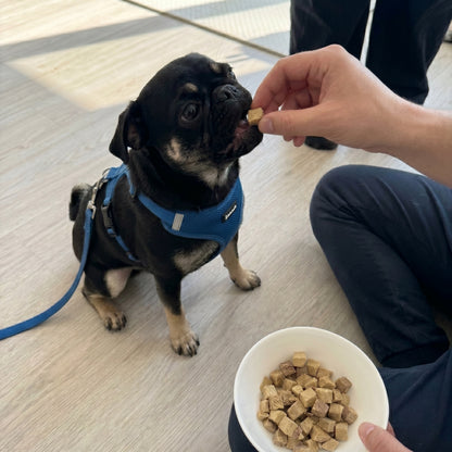 凍乾鹿肉小食