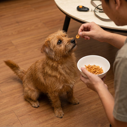 凍乾南極磷蝦小食