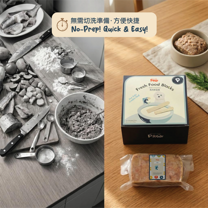 Fish Fresh Food Block